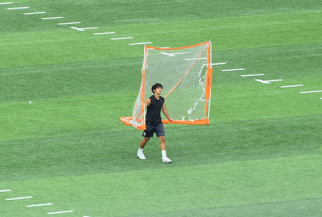 因而无论是